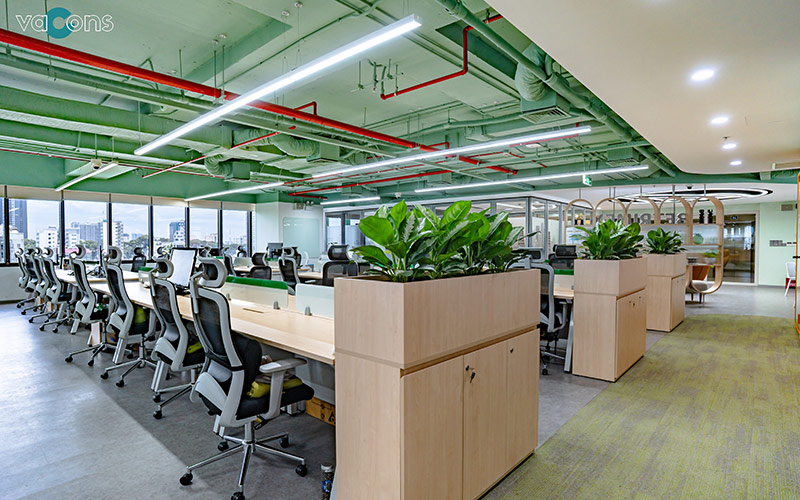Betrimex Office
