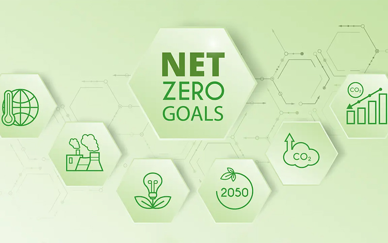 thiết kế văn phòng xanh