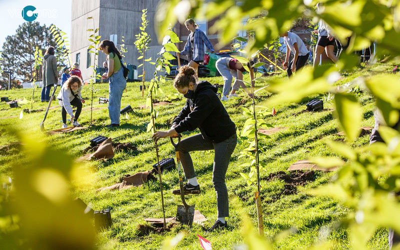 thiết kế cảnh quan trường học